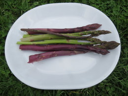 Asparagus Platter