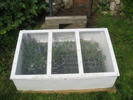 Cold Frame