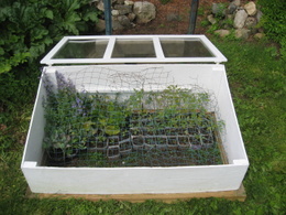 Cold Frame