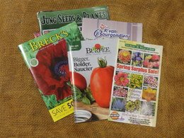 gardencatalogs3251